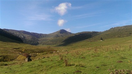 Cantal 2014